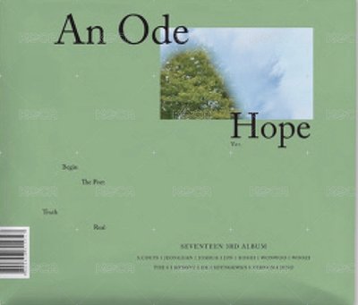 正三 紫/綠色空專