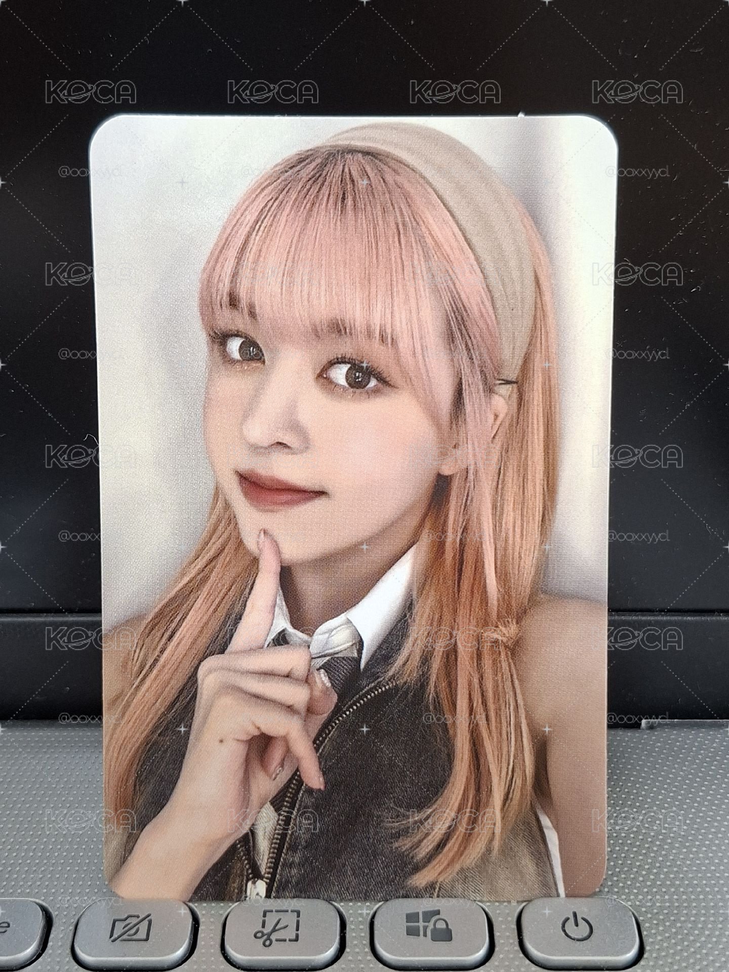 SW 熱狗莉