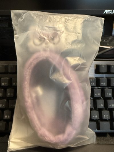 MINITEEN 手燈套 ｜FOXDUNGEE