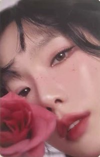 The TENSE 日場 隨機卡 