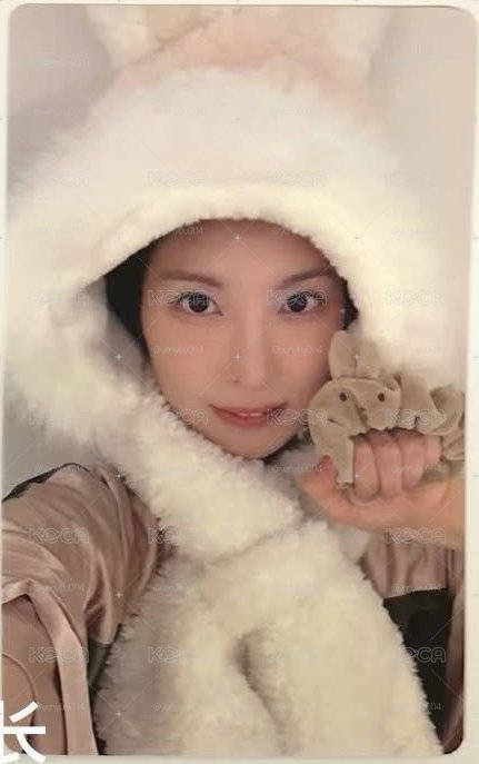 溫暖兔子裴
