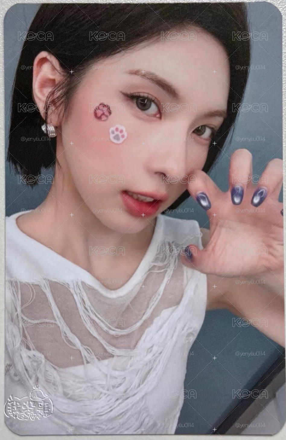 貓貼片裴