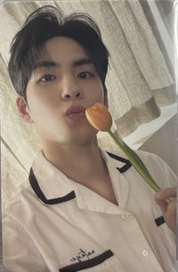 迷八 一般專 專輯卡 綠版