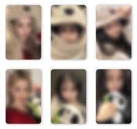 迷五 am幸運卡-小熊/熊貓