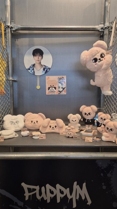 安可場線上快閃