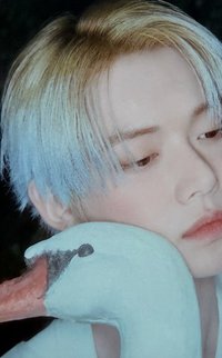 Starkissed 隨機卡 