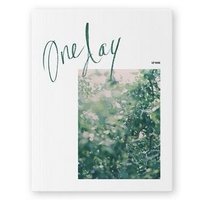 ONE DAY寫真 寫真集 