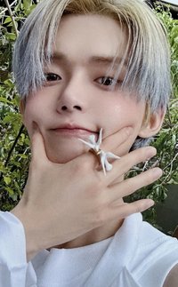 Starkissed 隨機卡 