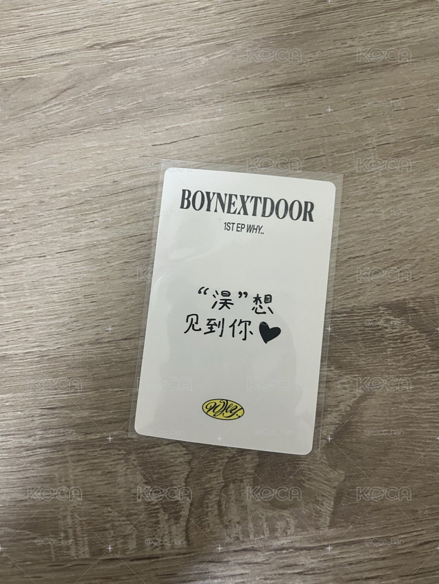 yzy 中文卡背