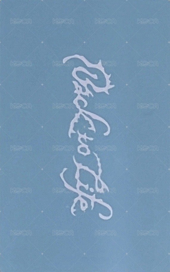 BTL 入場卡 / 場限卡 韓國快閃入場卡 背面