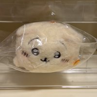 討伐失敗兔（天貓）