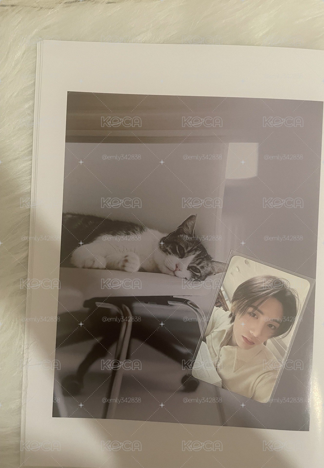 【BND】🐈‍⬛sw幸運卡