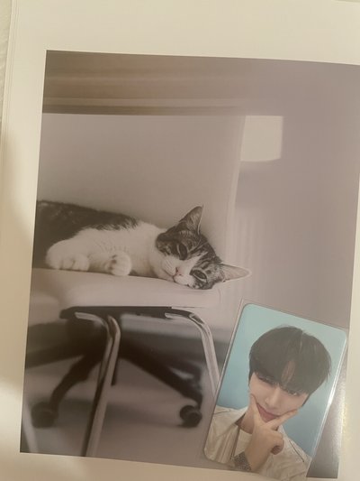 【BND】🐈⬛dmm幸運卡