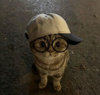 Yunnn