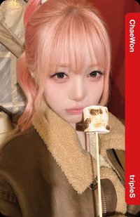 樂天購物台 自拍版 隨機卡 bb308