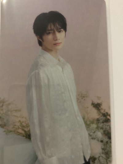圭