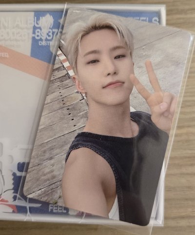 全專🪩Minil2 Kit Jun Hoshi woozi Mingyu Seungkwan Vernon Dino