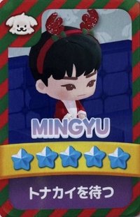 puzzle SVT 遊戲卡 聖誕卡