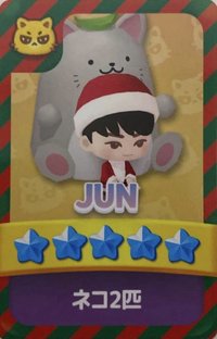 puzzle SVT 遊戲卡 聖誕卡