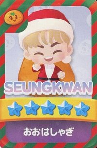 puzzle SVT 遊戲卡 聖誕卡
