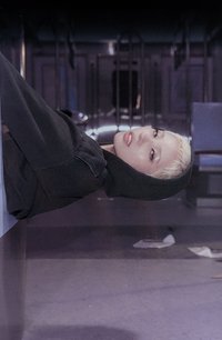 We are QQ音樂 明信片 數專臻享卡