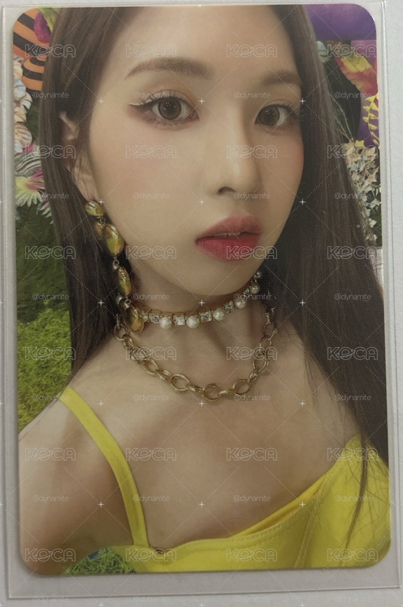 MS裴