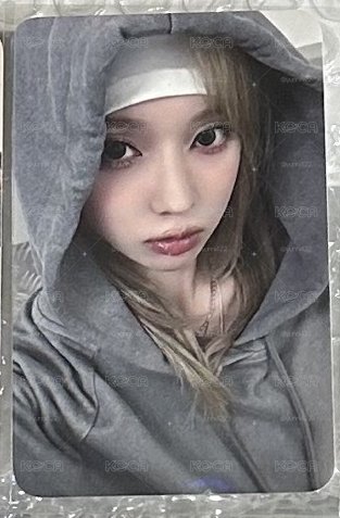 帽踢冬
