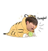 호랑이（緩慢上架svt的卡）