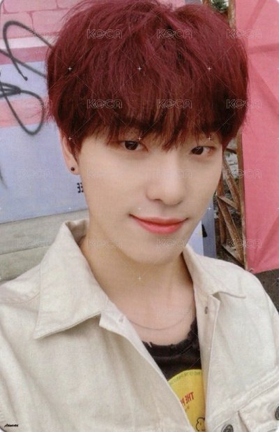 燦 專卡/特典/語音卡區