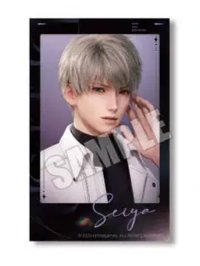 24年甜點天堂 日版 隨機卡 仿拍立得風小卡