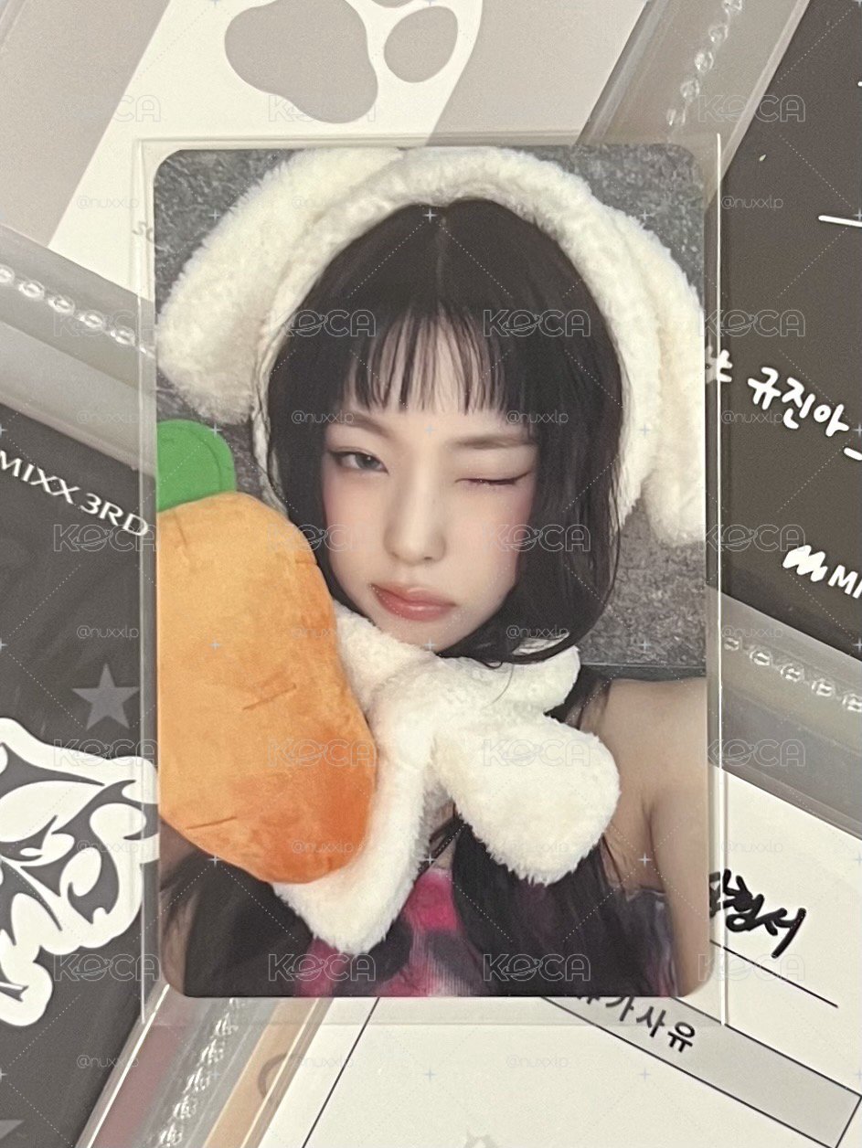 NMIXX 兔子胡蘿蔔圭