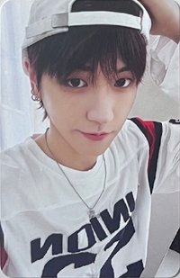 The Action 電子專 專輯卡 