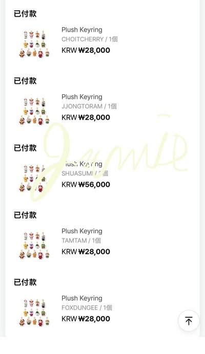 SEVENTEEN 聖誕系列 站姿鑰匙圈 目前都是二販（或三販）