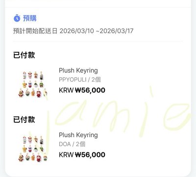 SEVENTEEN 聖誕系列 站姿鑰匙圈 目前都是二販（或三販）