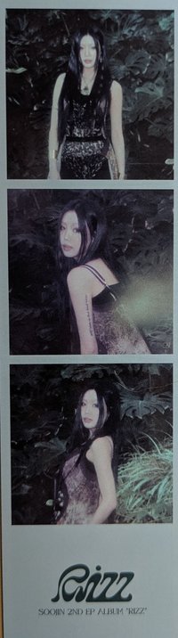 RIZZ 人生四格卡 PB Wild版