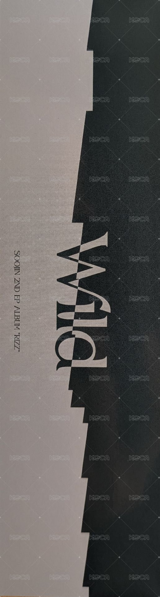 RIZZ 人生四格卡 PB Wild版 背面