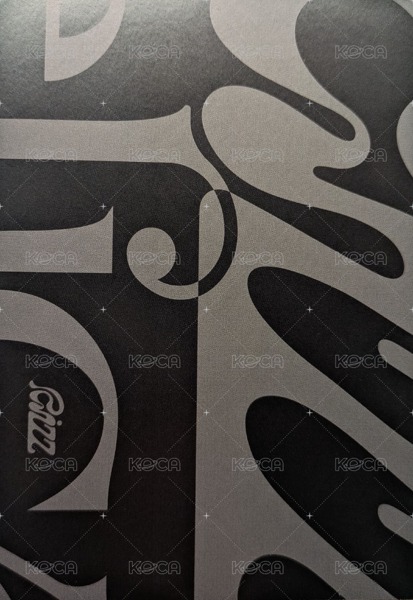 RIZZ 明信片 PB Delicate版 背面