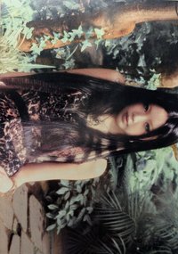 RIZZ 明信片 PB Wild版