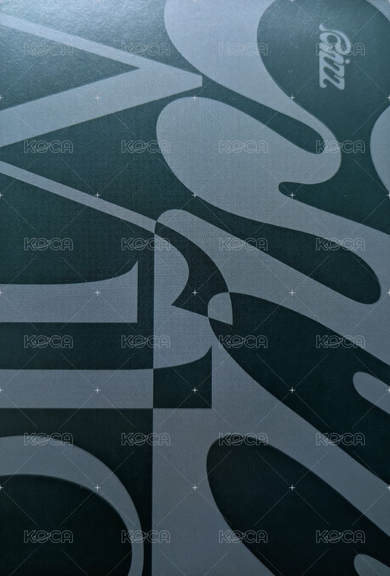 RIZZ 明信片 PB Wild版 背面