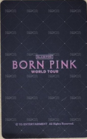 2巡 入場卡 / 場限卡 首爾場 VIP入場卡 背面