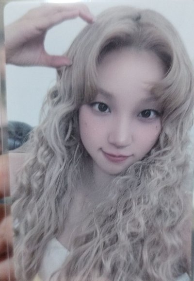 美通小狗耳朵琦