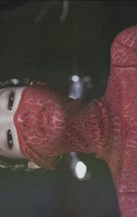 BORN PINK wvs 特典卡 團封全息版