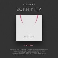 BORN PINK kit智能專 