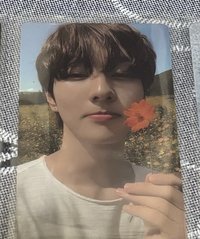 迷五 專輯卡 迷五 電子專隨機卡