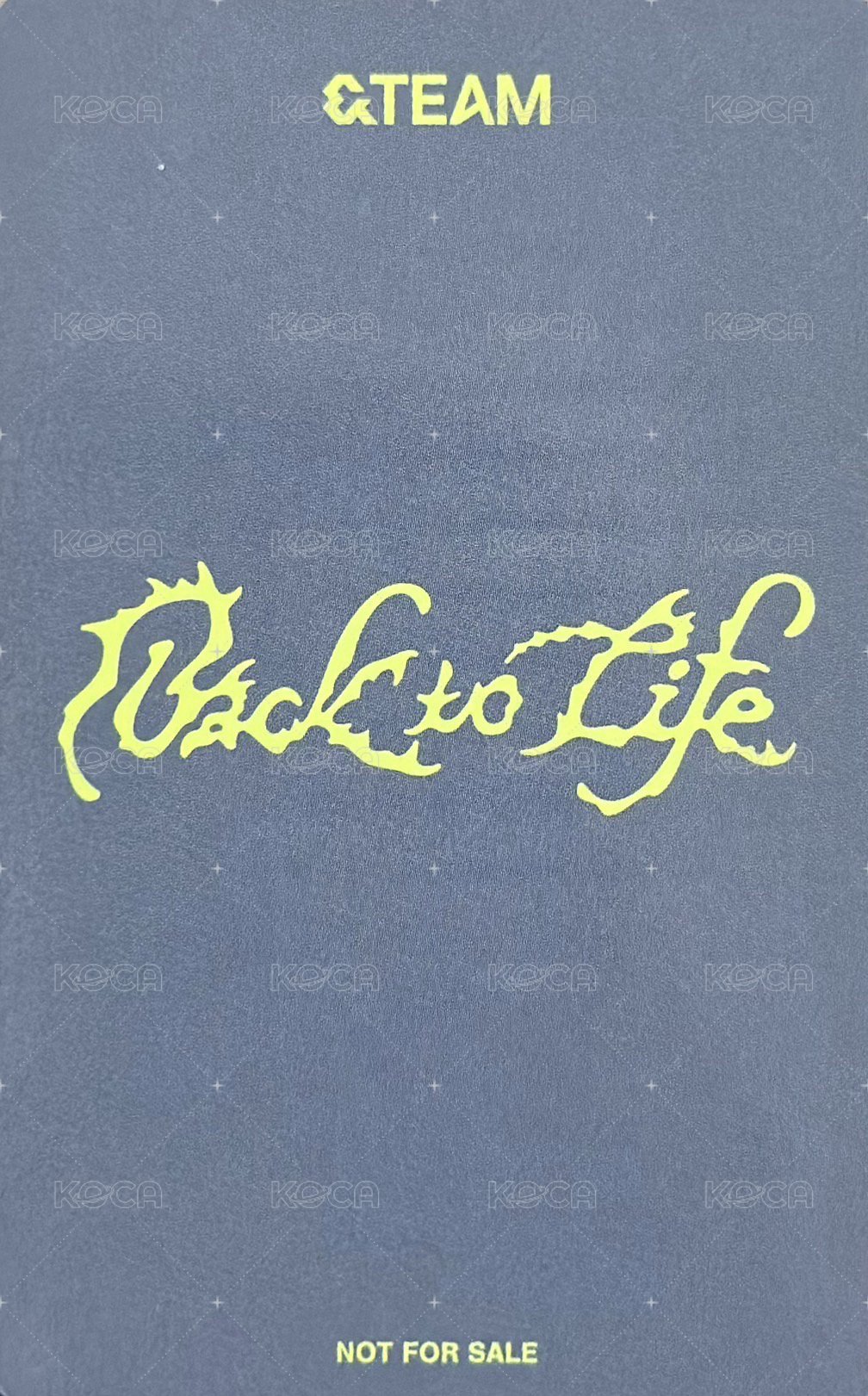 BTL 環球 特典卡  背面