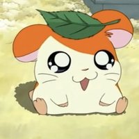 Haru