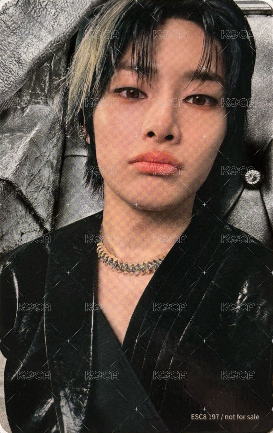 GIANT 專輯卡 FC盤 背面