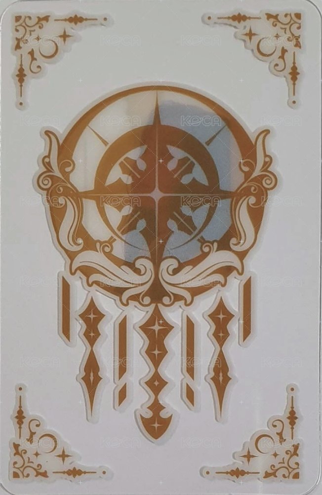 特別一輯 專輯卡 透卡 背面