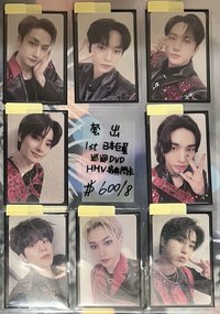 一套出 日本巨蛋巡迴DVD HMV特典閃卡