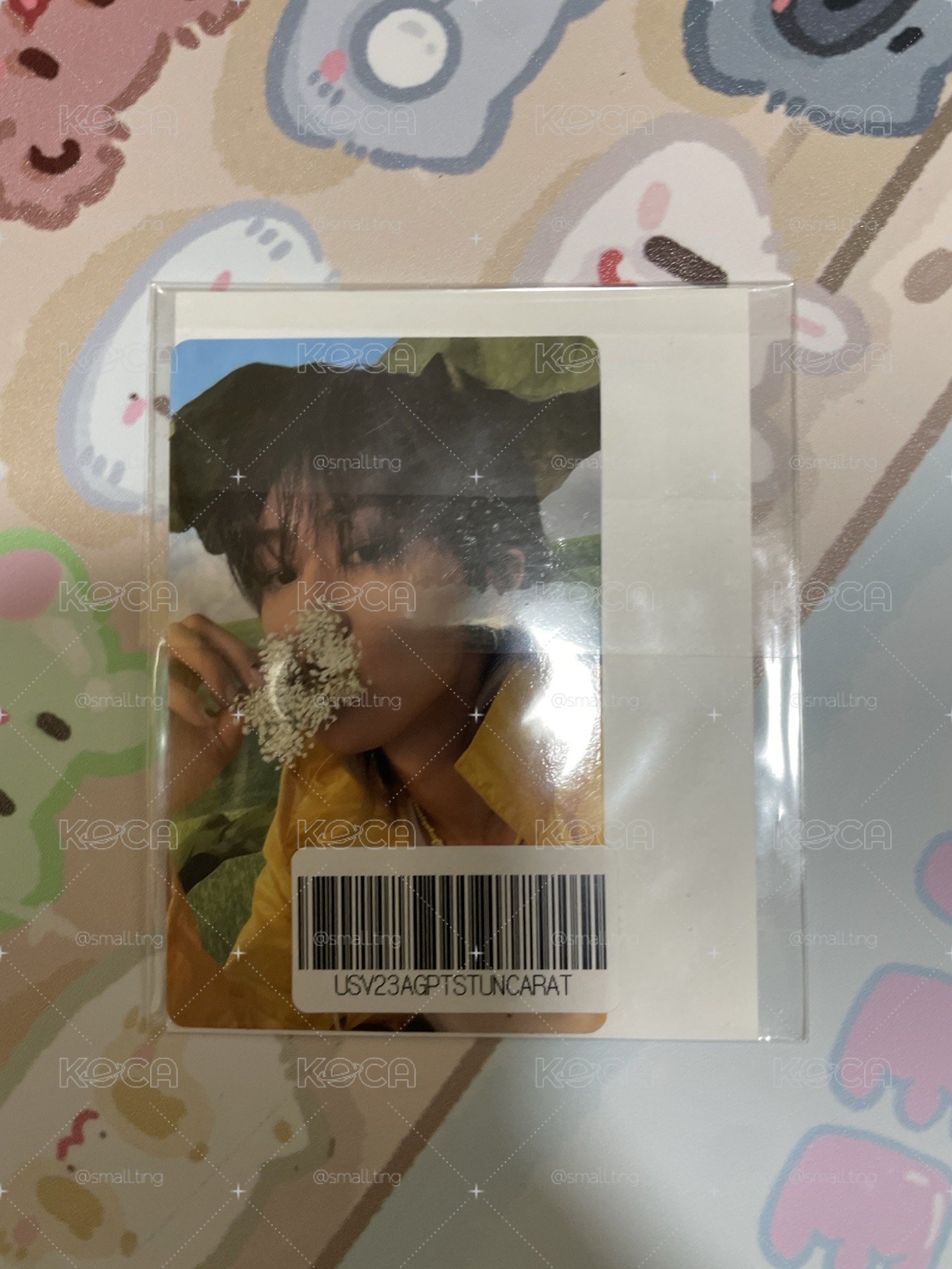 wvs特典八 未拆含貼紙🩵